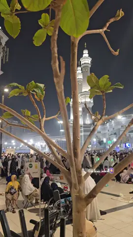 🧕🕊️ #makkah #khadimat #dr_binti_ashraf🧕 #doctor #madeenagirl 