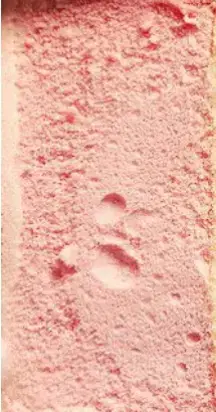 oh also I forgot to mention this but IF U THINK I'M COOL MOOT ME PLEASE ❤️‍🩹❤️‍🩹❤️‍🩹 anyways yay first post in like 2 months art block is killing me and also don't mind me reposting this for the fourth time BC THE COVER WASN'T RIGHT (I'm doing this for a banner 😔)#moot #art #hello #fyp #foryou 