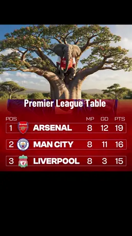 The Elephant On Top 🔝😁😁 #arsenalfc #goviral #fypシ゚viral #foryoupage #PremierLeague 