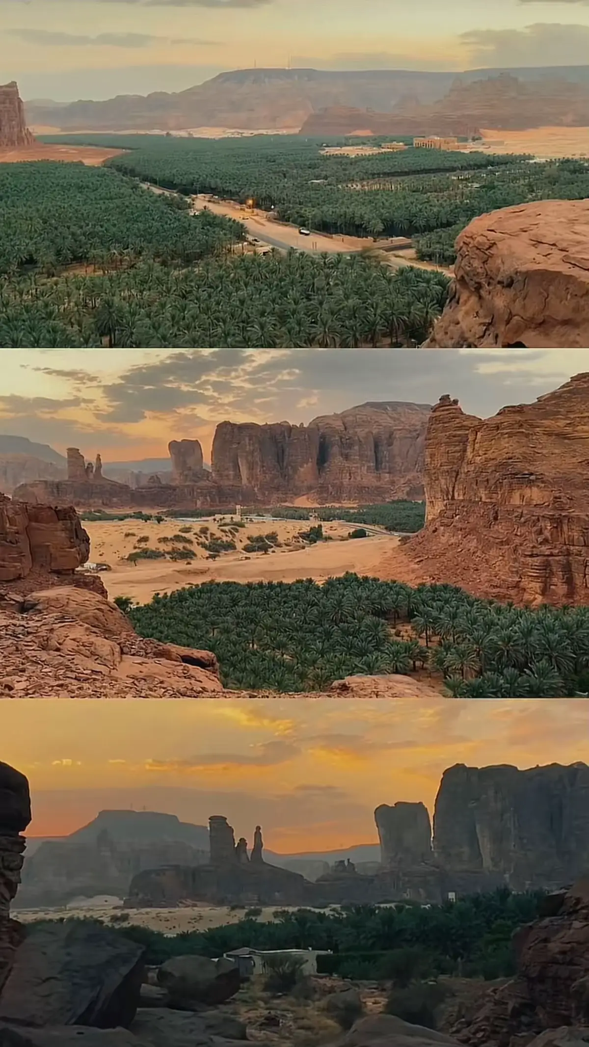 #العلا #alula #saudiarabia #foryou #fyp 