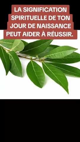 Partie 4: Les Natifs du Jeudi  LA SIGNIFICATION SPIRITUELLE DE TON JOUR DE NAISSANCE PEUT AIDER À RÉUSSIR. #congokinshasa243🇨🇩 #congokinshasa🇨🇩 #congordc243🇨🇩 #rdcongo🇨🇩 #rdc 
