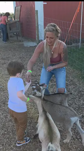 Feeding the animals today 😍