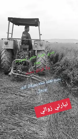 #تيارتي_و_نموووت_عليكم___قانون #فلاح #موال #تع #شلالة 