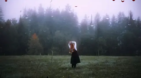 وعاشوو عيشه سعيده ! #صــدفـه7 #عراقي #الانتشار_السريع #اغاني_مسرعه💥 