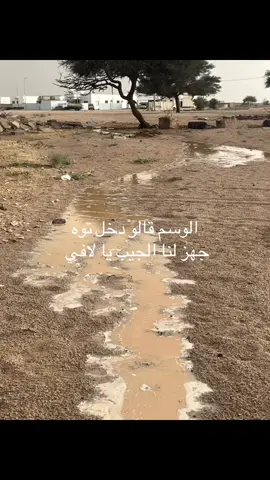 الوسم قالو دخل توه  جهز لنا الجيب يا لافي 🗣️