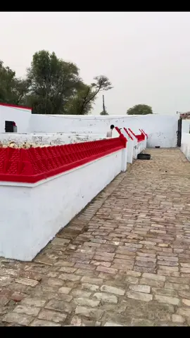 #fypシ #fypシ #foryoupageofficiall #foryoupage 