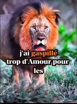 #motivation #life #advice #courageus 