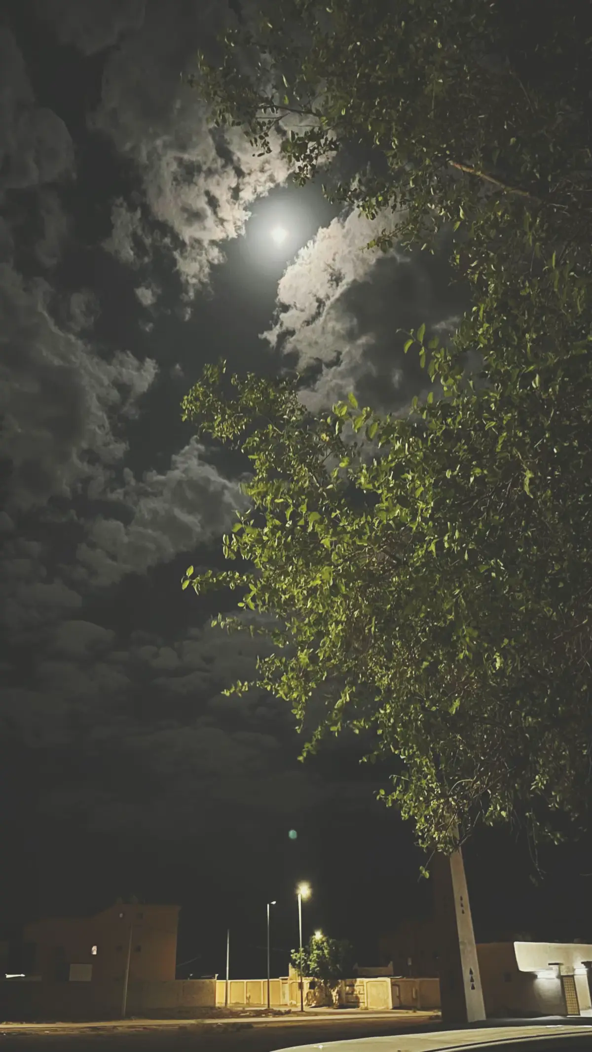 #عبدالله_السالم_فهد_عبدالمحسن 