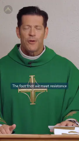 “Faith that has not been tested is faith that cannot be trusted.” — Fr. Mike #catholic #catholictiktok #christiantiktok #fyp #fathermikeschmitz #homily #faith