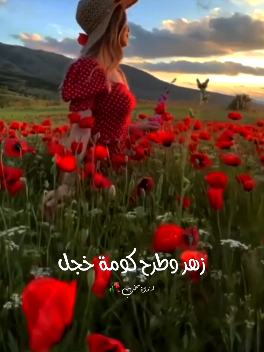 #توت_وكرز @Richard -ريتشارد (ريتشو) @Nancy #ريتشو  #وردةحلب🥀 #اعادة_النشر🔃 #ترند 