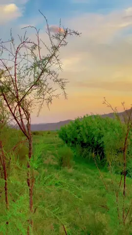 #أصبيح_تحتاني #مشاركه_اكسبلور_ولايك #كركوك_طريق_بغداد_شارع_القدس #بغداد_بصرة_موصل_الكويت_الخليج_دبي_ #الشعب_الصيني_ماله_حل😂😂 