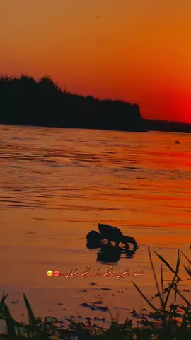 #شنو بغيري َلگيته وما ,َلگيته ,َوياي 😔❤️‍🔥#تصويري📷 #معتز_الحجي #دبجات_الجبور_اسديره_الشرقاط #تصويري_احترافي_الاجواء👌🏻🕊😴 