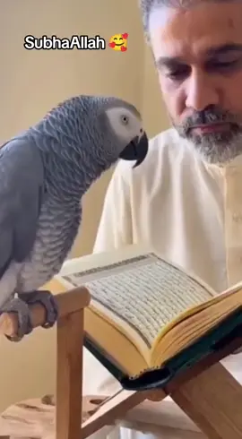 #new #pakistani_tik_tok #trending #islam #islamic_video 