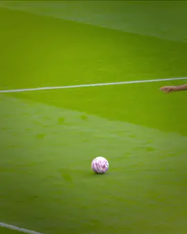 العشق الابدي مانشستر يونايتد ♥️♥️