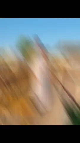 #حسين_رضا_الرحيماوي_السراي #بيت_رضا_السراي #واسط_كوت #الرحيماوي #السراي #مقتدى_الصدرأعزه_الله #الداحره #العراق🇮🇶❤️ 