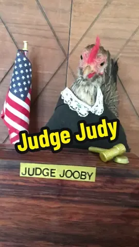 My favorite Judge Judy so far! #judgejudy #judgejooby #impressions #fyp @Judge Judy 