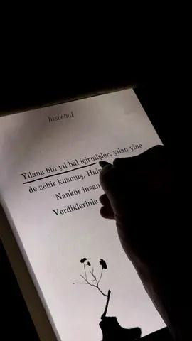 Nankör insan nankördür.✍🏻