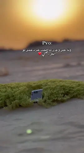 #الحب_كلام_فاضي💔 #وصلت_ولا_اجيب_وصله #اكسبلور #تصويري_احترافي_الاجواء👌🏻🕊😴 