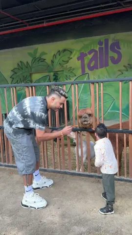 آخر الفيديو مسخره بجد زيزو راح فيها 😂💔😱#زيزو_و_الجمل🐪 