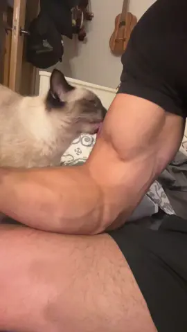 Pora karmienia 🐈 #dc #GymTok #fyp 