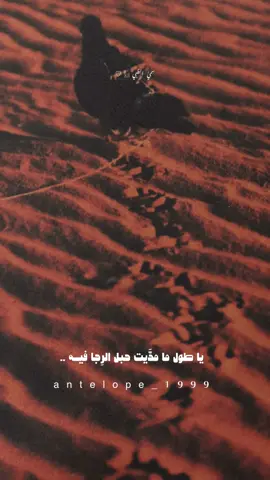 #طال السهر و الهجر #تصميمي #إكسبلوررررررر_explore 