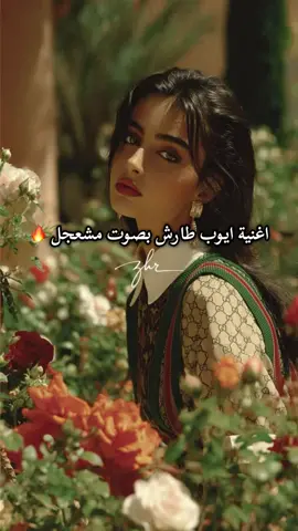 مجرد ذوق ..🦌✨#اليمن🇾🇪المملكة🇸🇦_عمان🇴🇲_الاردن🇯🇴 #الجوف_صنعاء_مارب_المهره_شبوه_عدن_تعز_حضرموت #تعز_صنعاء_عدن_مارب_شبوه_الجوف_عمران #ايوب_طارش_صوت_الحب_والوطن🔥 #محمد_مشعجل 🤍✨