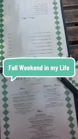 NYC Weekend in the Life exploring Brooklyn Heights @L’Appartement 4F, River Deli, the Lower East Side, and volunteering in Morningside Park! #nycdiml #nycweekend #nycfall #nyjl #nycvlog 