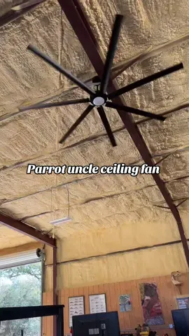 These fans are soooooo awesome!!! #ParrotUncleFans #LargeCeilingFan #PatioFan #ShotFan #CeilingFan 