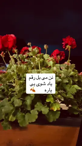 @عـلی 🗣️ 