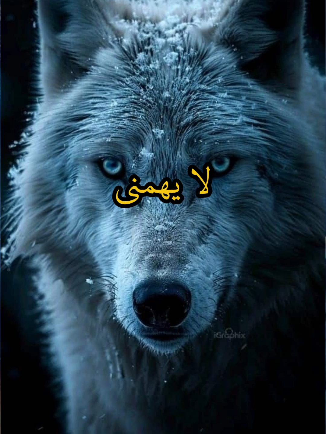 لا يهمني ما يقال عني ليس تكبر بل لأن ثقتي بنفسي#اقتباسات #حكمة #خواطر #اكسبلور #نجاح #علم_النفس #تطوير_الذات_علم_النفس #كلام_من_ذهب #اطمئن #اقتباسات_عبارات_خواطر #تحفيزات_إيجابية #fyp #explore #viral_video #psychology #motivation