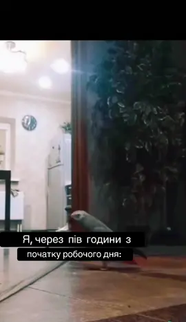 #фулюди🤣 #всеякзавжди🤣🤣🤣 