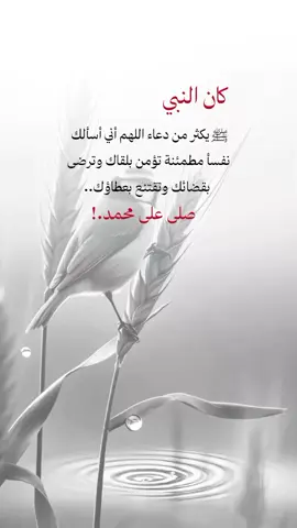 #عبارات #خواطر #اكسبلور 