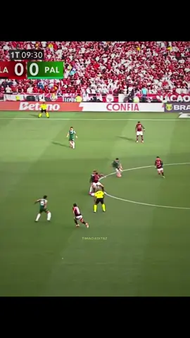 Quem não seguir é palmeirense!! 🤣🫵 gol do Flamengo, gol do Arrascaeta! 👀 #futebol #flamengo #palmeiras #arrascaeta