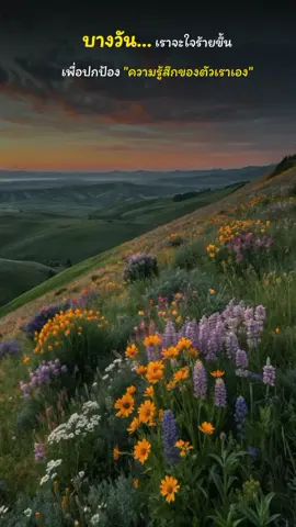 #สตอรี่ความรู้สึก #CapCut #ความสุขของฉัน #ใช้ชีวิตให้มีความสุข #พี่นัทอินดี้ 