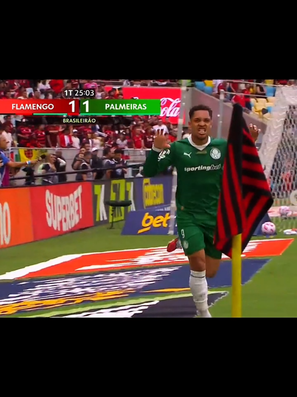 Gol do Palmeiras #palmeiras #fy #flamengo #fyp #foryou 