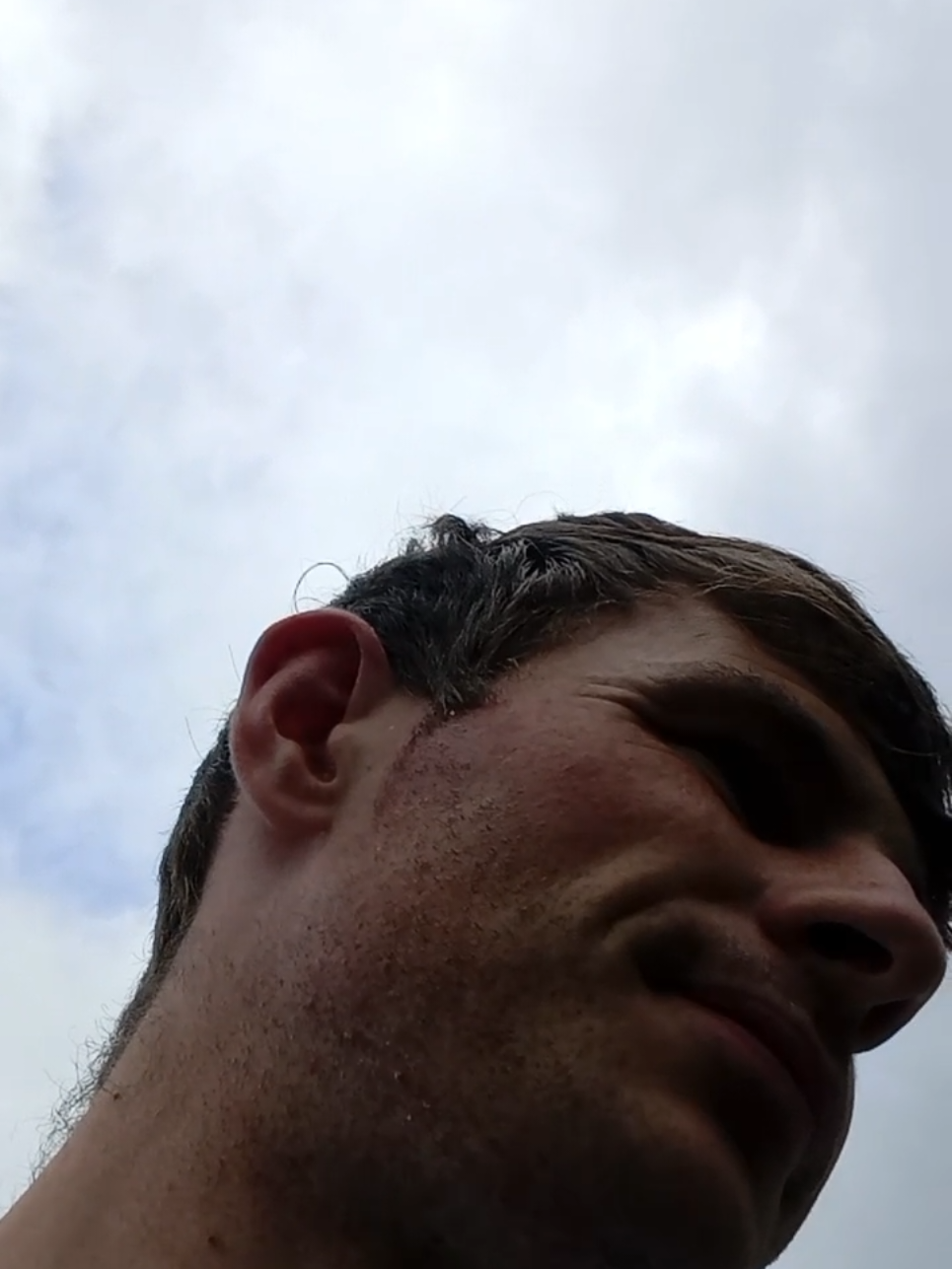 this was in the end of August.  #ireland #grass #fyp #cow 