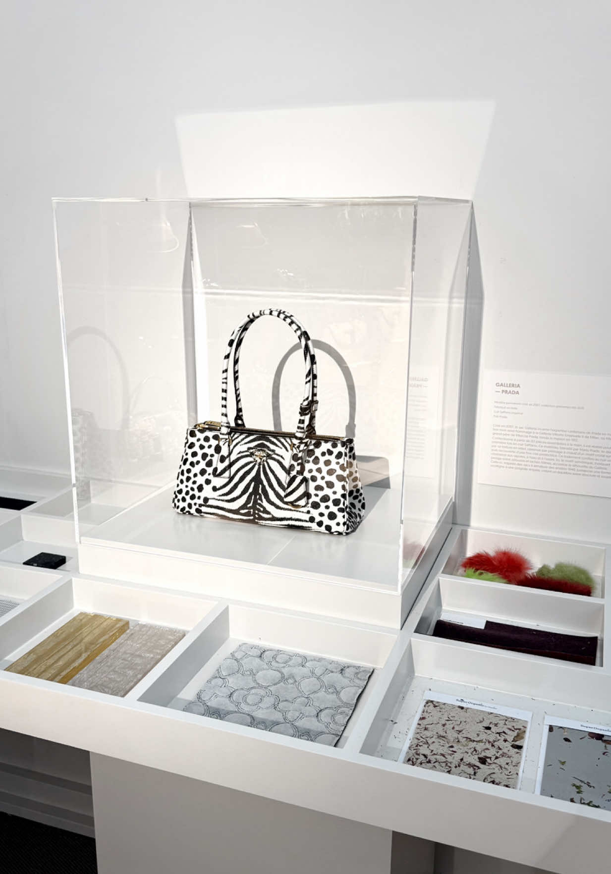 Visibles à la super exposition gratuite  “Sac, more than a bag” au @PRINTEMPS Haussmann jusqu’au 26 octobre ✨ #expomode #expositionmode #printempshaussmann #sortieparis #sortiraparis 