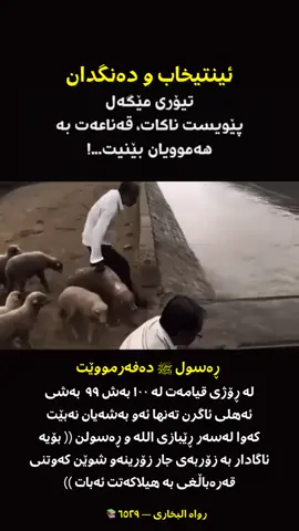 ##سبحان_اللہ #ألحمد_لله #لااله_الا_اللە #استغفرالله #اسلام 