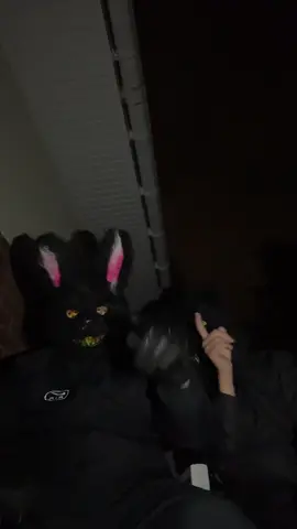 #lapin #ours #faitepercerafond 