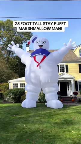 I ain’t afraid of no ghosts!  #ghostbusters #ghost #halloween #billmurray #magic 