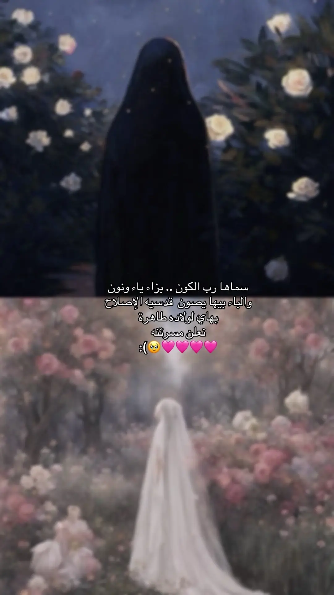 متباركين جميعاً بذكر مولد السيده زينب عليها سلام  #اقتباسات #اللهم_صلي_على_نبينا_محمد #مولد #زينب'الكبرى 
