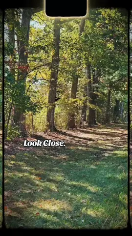 #futureghosty #funstuff #geektok #BookTok #justforfun 