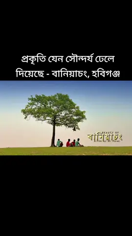 প্রকৃতি যেন সৌন্দর্য ঢেলে দিয়েছে - বানিয়াচং, হবিগঞ্জ