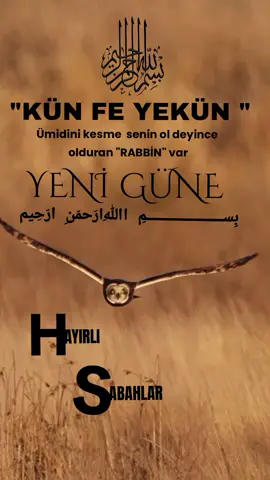 #Dua #yeni bir güne bismillahirrahmanirrahim diyelim elhamdülillah #HAYIRLI #SABAHLAR #keşfetteeyizz 