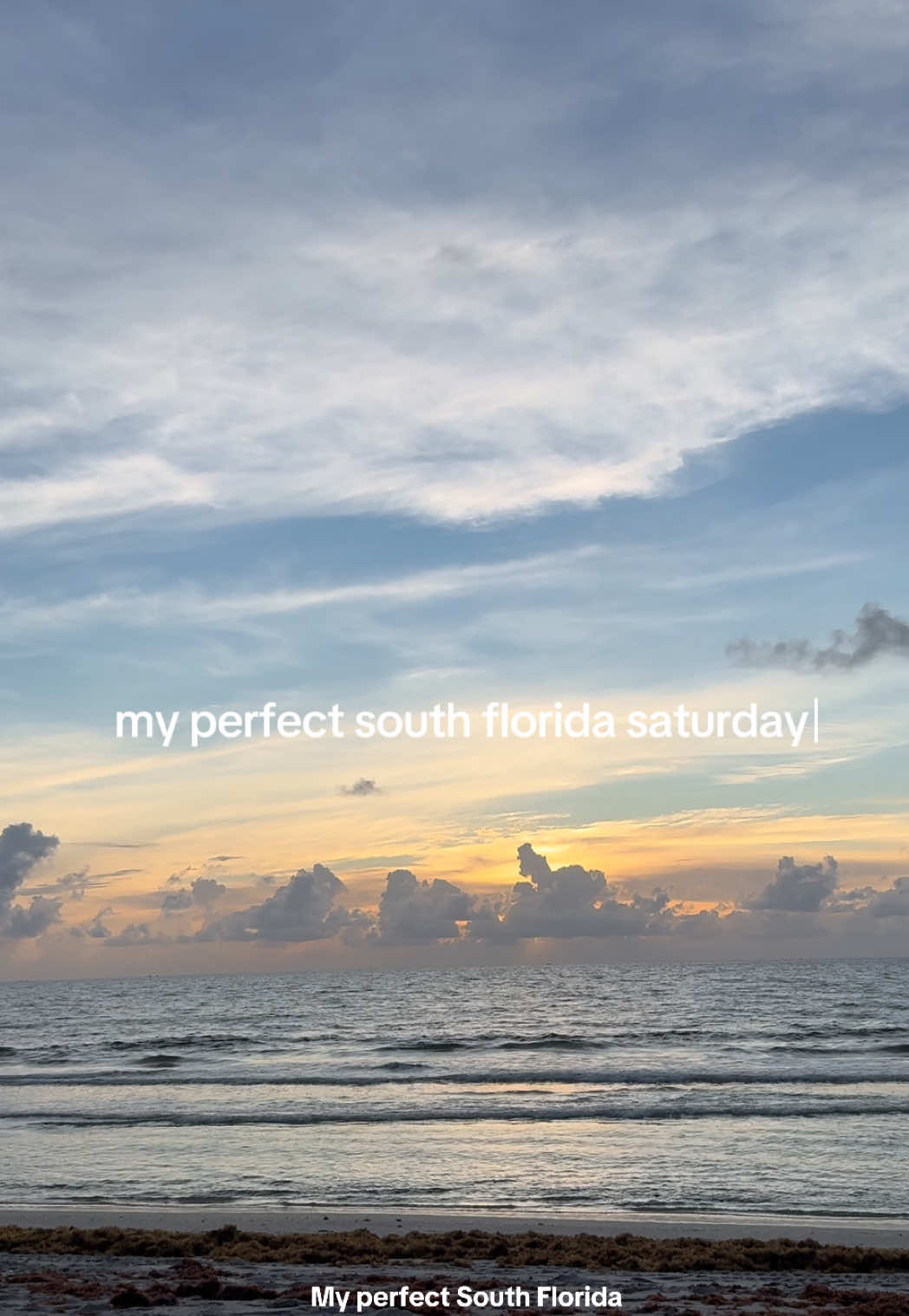 green market season is the best season 💐 #wpbgreenmarket #westpalmbeach #girlsday #sunriseswim 