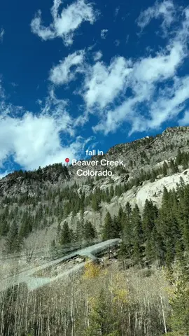 the views here are so pretty this time of year🍂 #colorado #beavercreek #beavercreekcolorado 