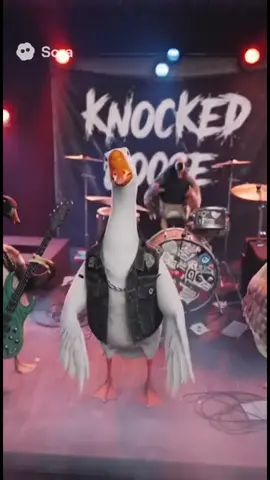 Knocked Goose Mother Honker #knockedloose #hardcore ##foryourpage #music #animals 