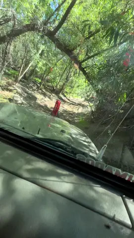 Cuál tristeza? #puroshow #offroad #jeepwrangler #arizona #ruta 