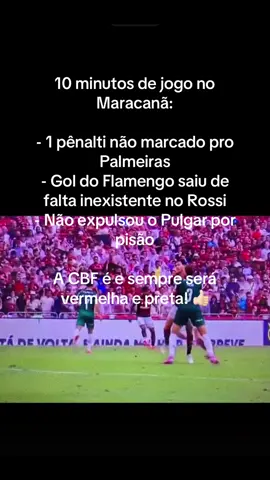 #flamengo #palmeiras #brasileirao #futebol #paravoce 