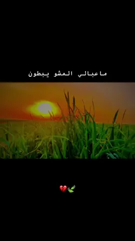 #تصويري_احترافي_الاجواء👌🏻🕊😴 #تصميم_فيديوهات🎶🎤🎬 #الملكي #ماعبالي_المشو_يبطون🥺💔 #داه يول داه
